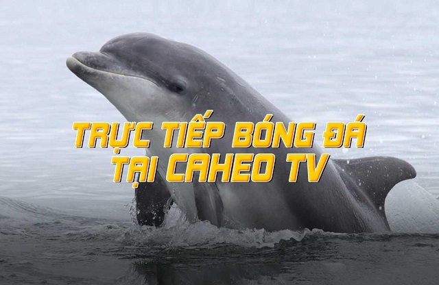 CaheoTV trực tiếp bóng đá có mục tiêu gì?